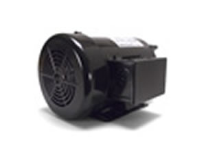 SPX - AC Electric Motor - 2.20 KW / 3 HP 2850 rpm 230V 1PH 50HZ + Coupling